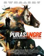 Watch Purasangre Watch123movies