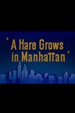 Watch A Hare Grows in Manhattan Watch123movies