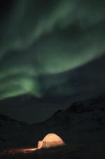 Watch The Last Igloo Watch123movies