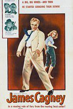 Watch A Lion Is in the Streets Watch123movies