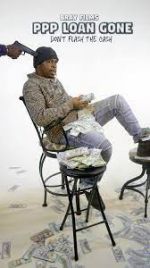 Watch PPP Loan Gone Watch123movies