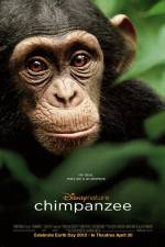 Watch Chimpanzee Watch123movies