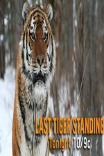 Watch Discovery Channel-Last Tiger Standing Watch123movies
