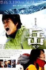 Watch Peak: The Rescuers Watch123movies