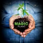 Watch The Magic Plant Watch123movies