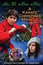 Watch A Karate Christmas Miracle Watch123movies