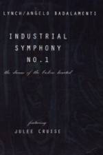 Watch Industrial Symphony No 1 The Dream of the Brokenhearted Watch123movies