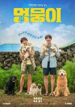 Watch My Heart Puppy Watch123movies