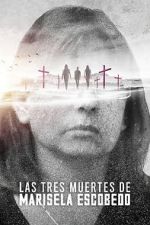 Watch The Three Deaths of Marisela Escobedo Watch123movies