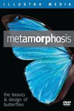 Watch Metamorphosis: The Beauty and Design of Butterflies Watch123movies