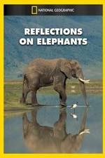Watch Reflections on Elephants Watch123movies