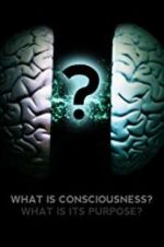 Watch What Is Consciousness? What Is Its Purpose? Watch123movies