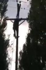 Watch After the Wind Watch123movies