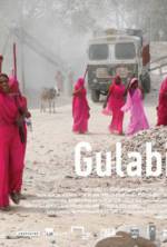 Watch Gulabi Gang Watch123movies