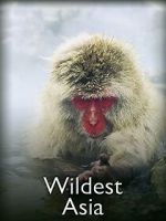 Watch Wildest Asia Watch123movies