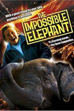 Watch The Incredible Elephant Watch123movies