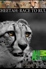 Watch Cheetah: Race to Rule Watch123movies