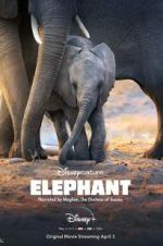 Watch Elephant Watch123movies
