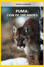Watch National Geographic  Puma: Lion of the Andes Watch123movies
