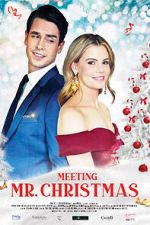 Watch Meeting Mr. Christmas Watch123movies
