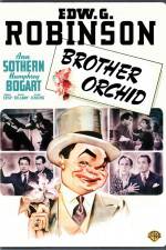 Watch Brother Orchid Watch123movies