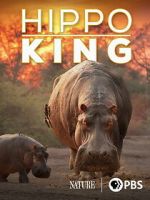 Watch Hippo King Watch123movies