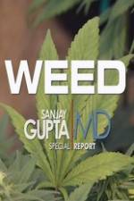 Watch CNN Weed Sanjay Gupta Report Watch123movies