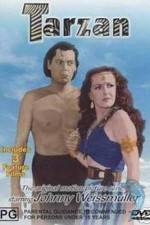 Watch Tarzan's Desert Mystery Watch123movies