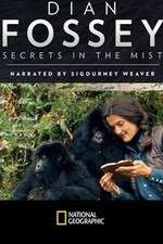 Watch Dian Fossey: Secrets in the Mist Watch123movies