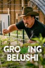 Watch Growing Belushi Watch123movies