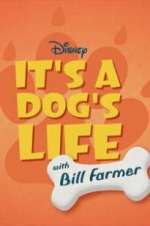 Watch It\'s a Dog\'s Life with Bill Farmer Watch123movies