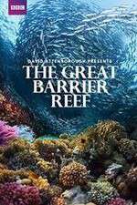 Watch Great Barrier Reef with David Attenborough Watch123movies