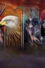 Watch Wales: Land of the Wild Watch123movies