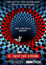 Watch Q: Into the Storm Watch123movies