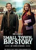 Watch Small Town, Big Story Watch123movies