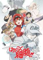 Watch Cells at Work! Watch123movies