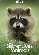 Watch The Secret Lives of Animals Watch123movies