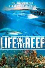 Watch Life on the Reef Watch123movies