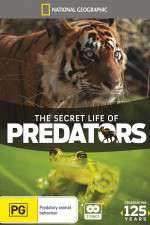 Watch Secret Life of Predators Watch123movies