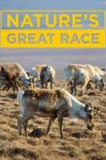 Watch Nature's Great Race Watch123movies