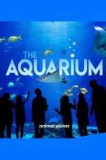 Watch The Aquarium Watch123movies
