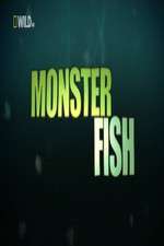 Watch National Geographic Monster Fish Watch123movies