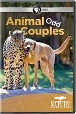 Watch Animal Odd Couples Watch123movies