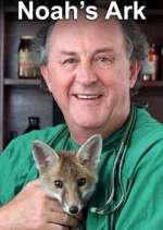 Watch Noah's Ark Watch123movies