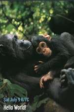 Watch Hello World! Watch123movies