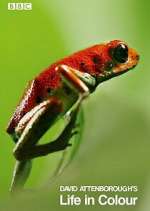 Watch Attenborough's Life in Colour Watch123movies
