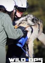 Watch Wild Ops Watch123movies