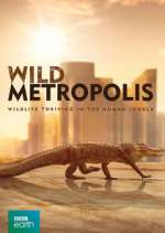 Watch Wild Metropolis Watch123movies