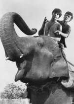 Watch Maya Watch123movies