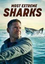 Watch Most Extreme Sharks Watch123movies